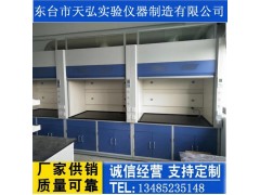 安庆市 化验室通风橱生产厂家，池州市通风柜材质说明