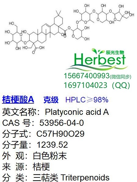 桔梗酸A CAS:68051-23-0 98%